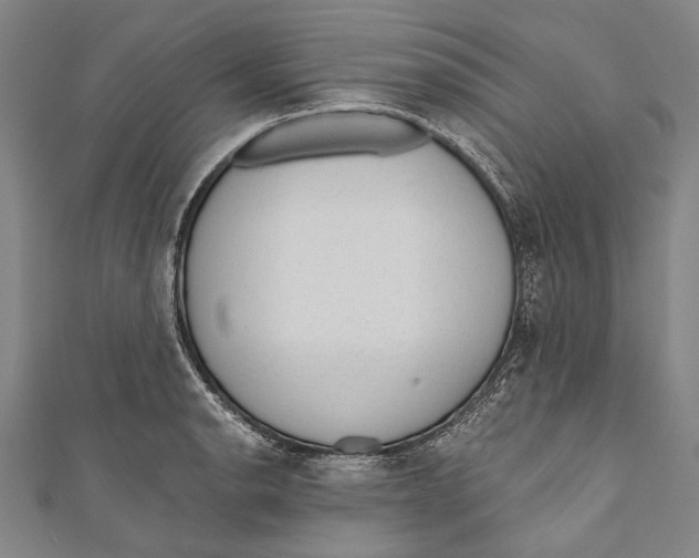 X0000110961134200907101322