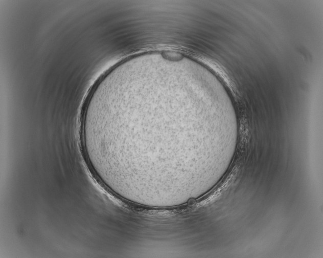 X0000110961135200907101322