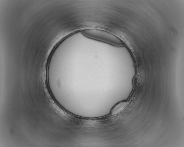 X0000110961136200907101322