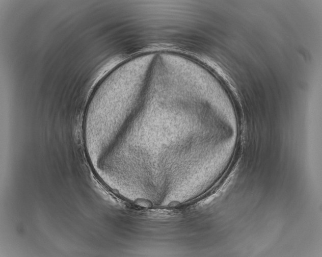 X0000110961137200907101322