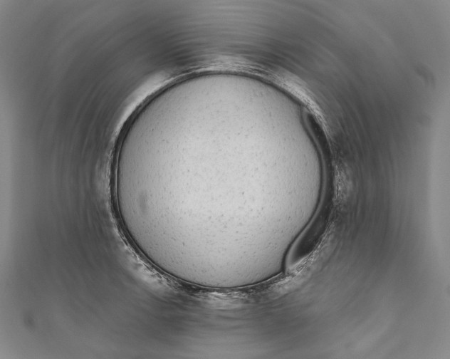 X0000110961138200907101322