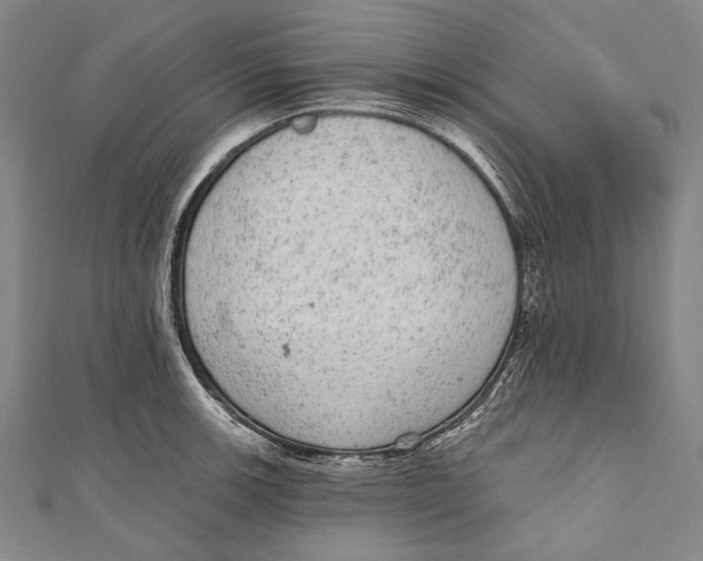 X0000110961139200907101322