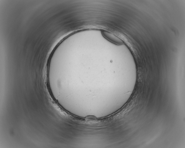 X0000110961140200907101322