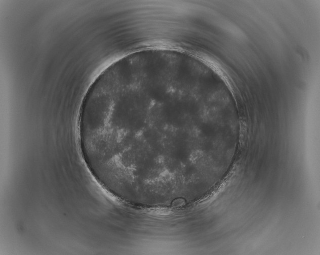 X0000110961141200907101322