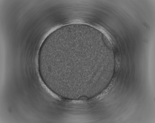 X0000110961142200907101322