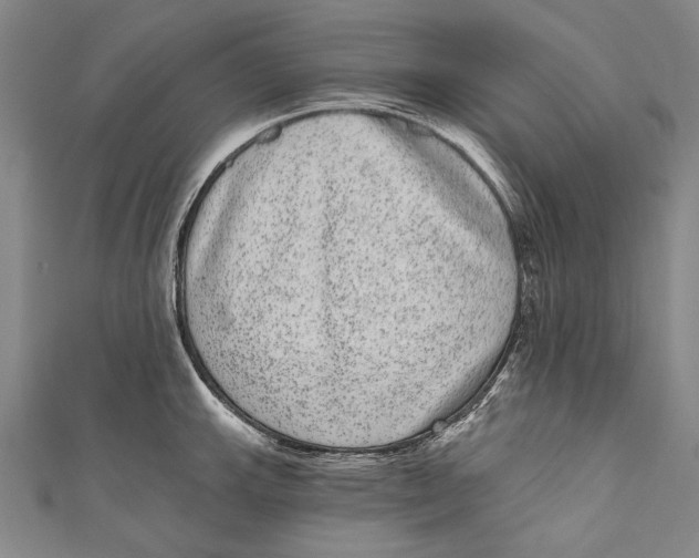 X0000110961143200907101322