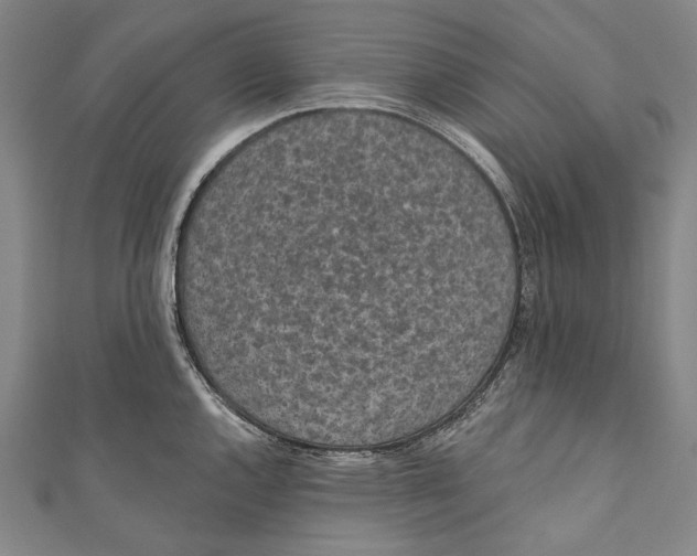 X0000110961144200907101322