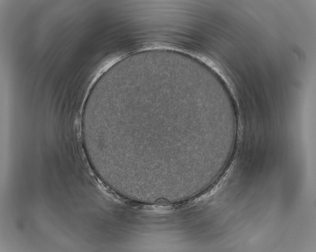 X0000110961145200907101322