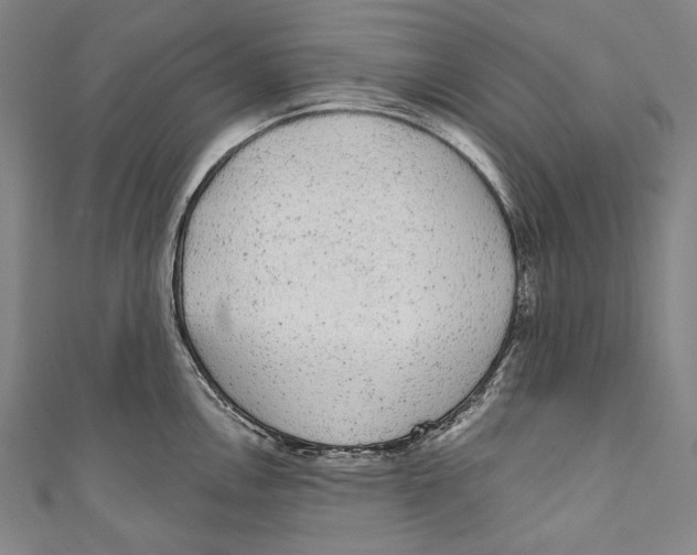 X0000110961146200907101322