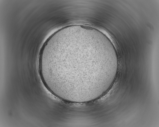 X0000110961147200907101322