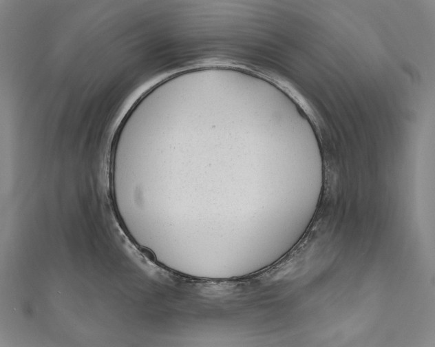 X0000110961148200907101322