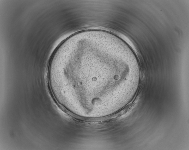 X0000110961149200907101322