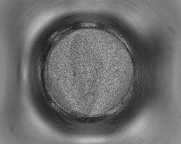 X0000110961151200907101322