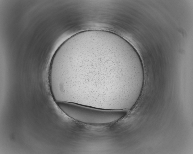 X0000110961152200907101322