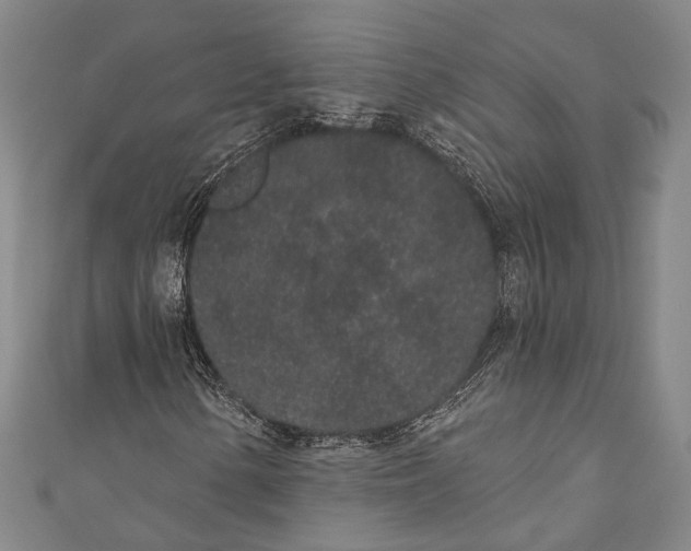 X0000110961154200907101322