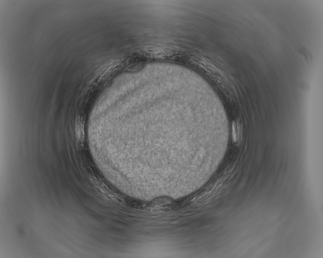 X0000110961155200907101322