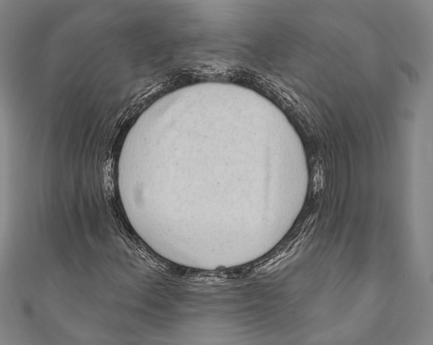 X0000110961156200907101322