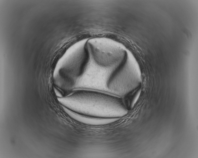 X0000110961157200907101322