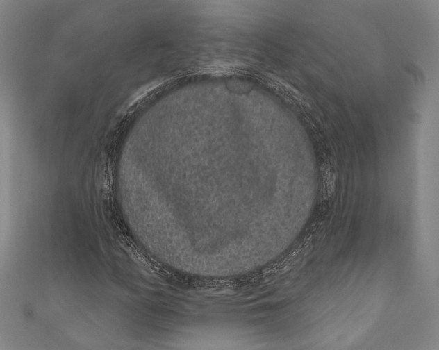 X0000110961158200907101322