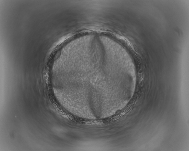 X0000110961159200907101321