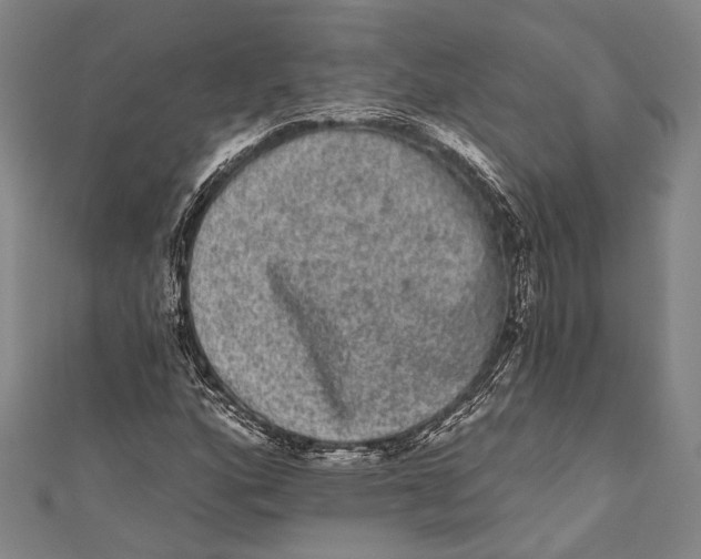 X0000110961160200907101321