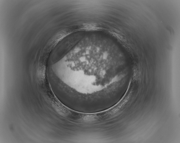 X0000110961161200907101321