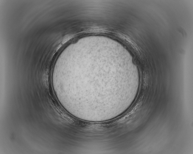 X0000110961162200907101321