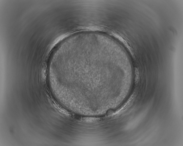 X0000110961163200907101321