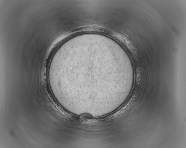 X0000110961164200907101321