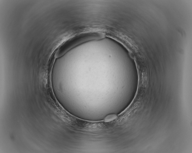 X0000110961165200907101321