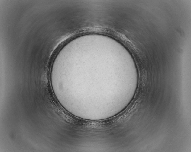 X0000110961166200907101321