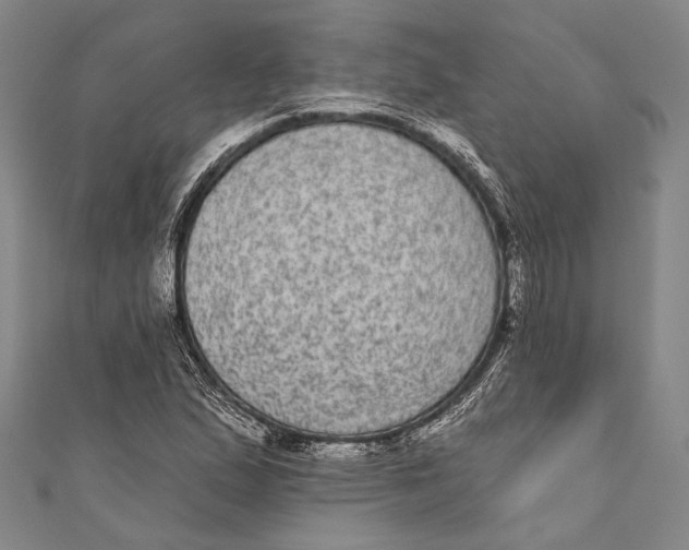 X0000110961167200907101321