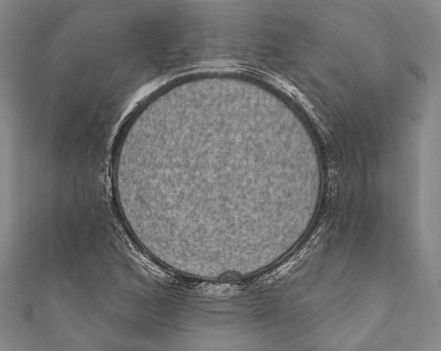 X0000110961168200907101321