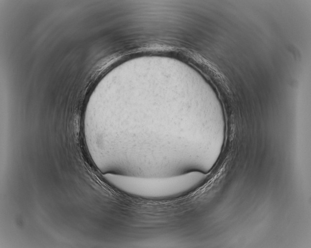 X0000110961169200907101321