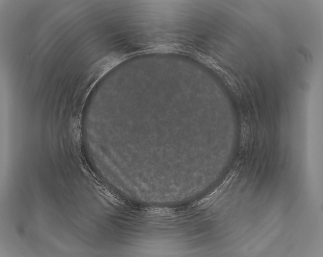 X0000110961170200907101321