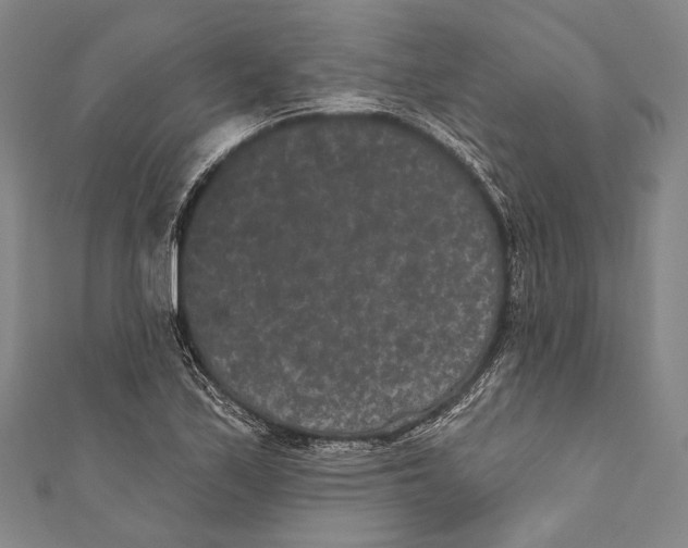 X0000110961171200907101321