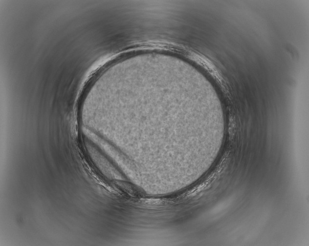 X0000110961172200907101321