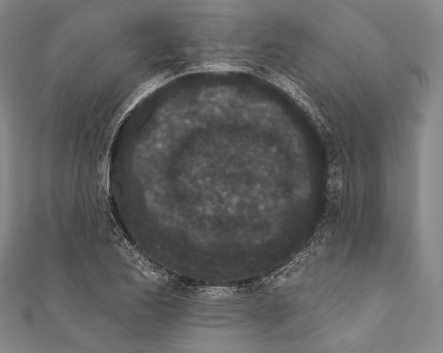 X0000110961173200907101321