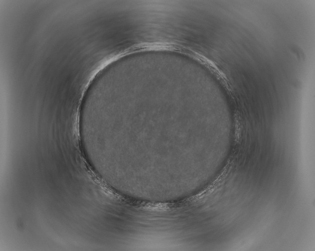 X0000110961174200907101321