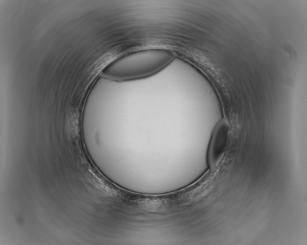 X0000110961177200907101321