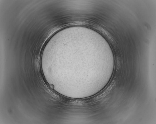 X0000110961178200907101321