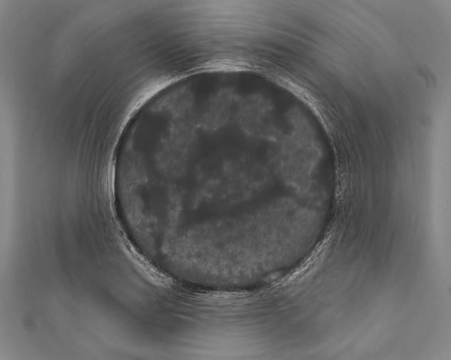 X0000110961179200907101321