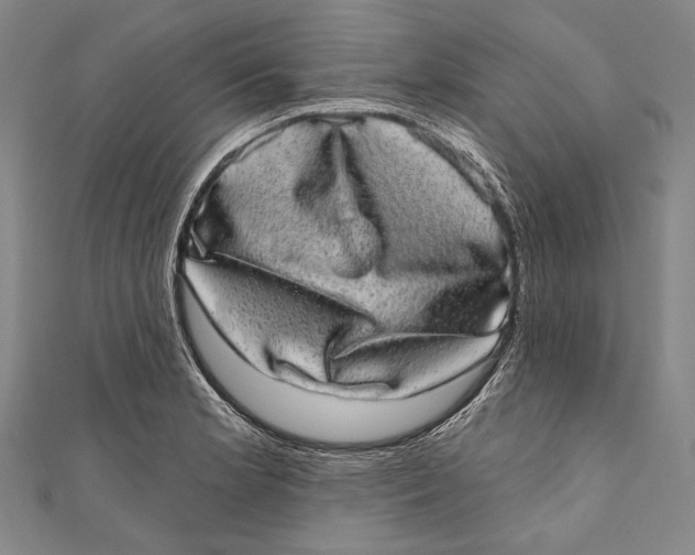 X0000110961181200907101321