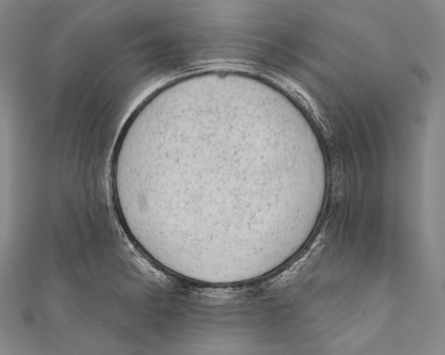 X0000110961182200907101321