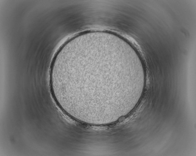 X0000110961183200907101321