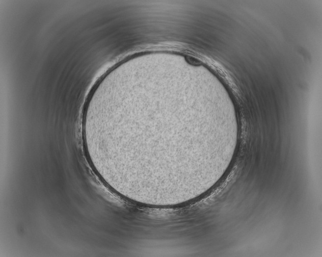 X0000110961184200907101321