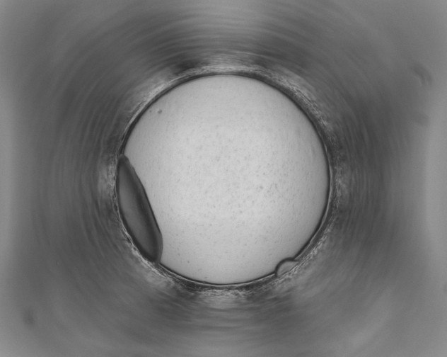 X0000110961185200907101321