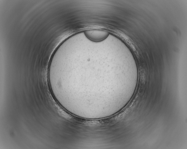 X0000110961186200907101321