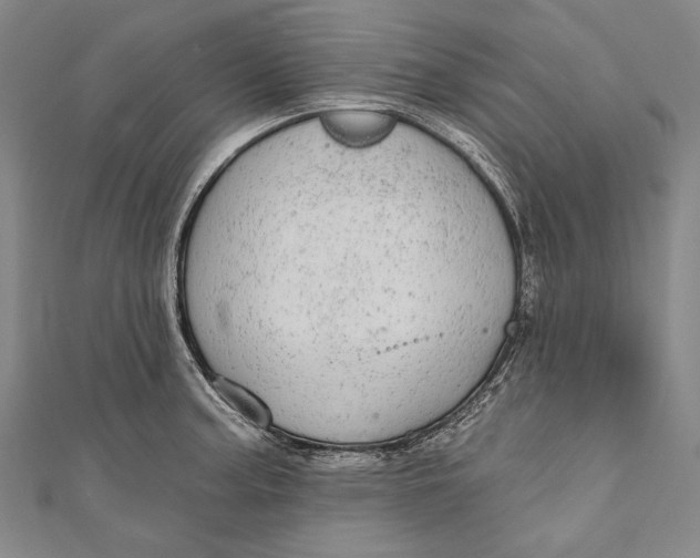 X0000110961187200907101321