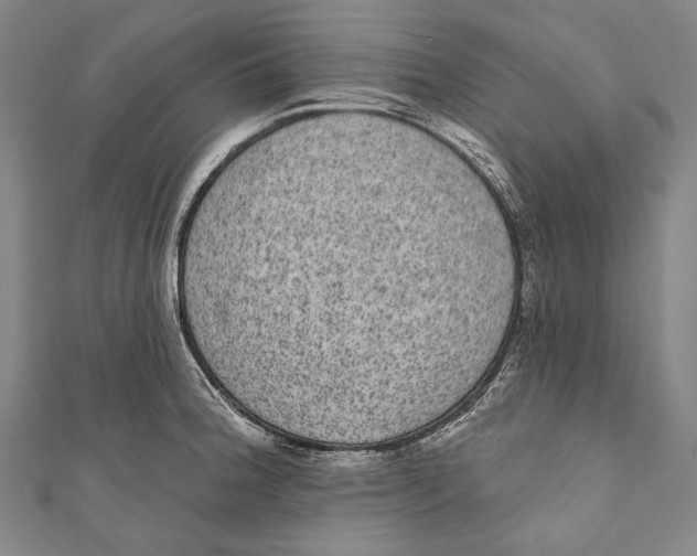 X0000110961188200907101321